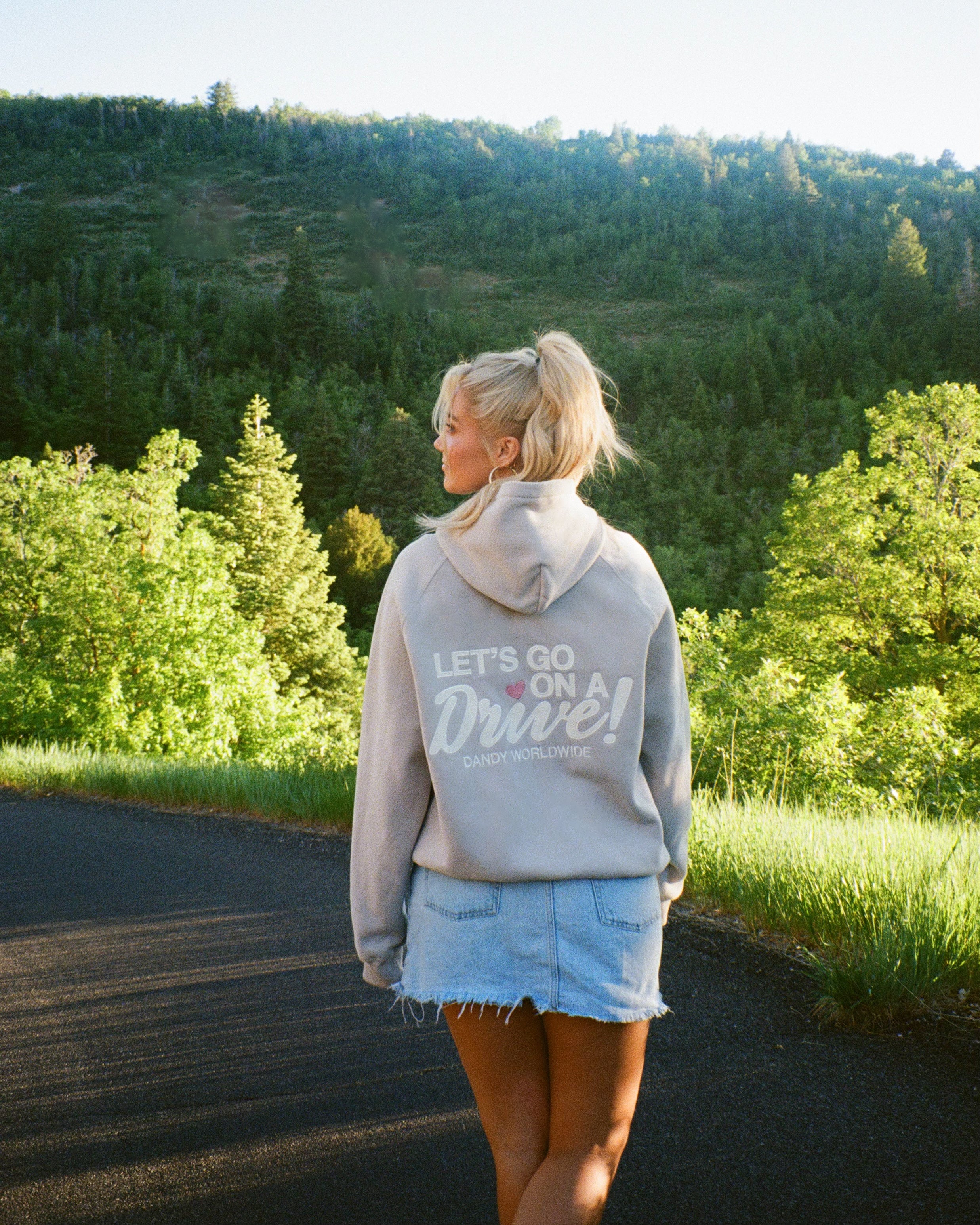 Let's Go on a Drive Oversized Lux Hoodie in Light Gray